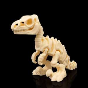 Skeleton Velociraptor